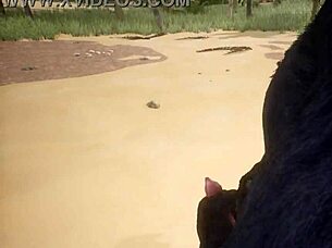 Pov two gay wolves fucking wildlife