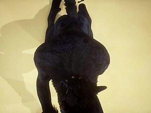 Pov two gay wolves fucking wildlife