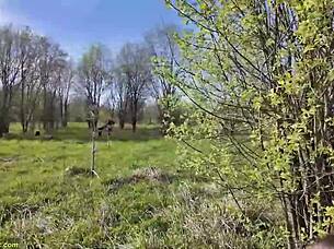 Are we being watched while ass fucking in public?