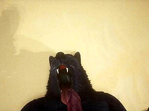 Pov two gay wolves fucking wildlife