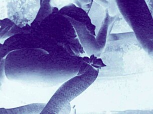 I love vintage erotic art