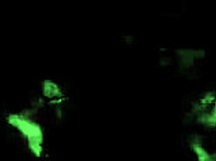 A Vintage Illustration Depicts An Erotic Scene From Anime