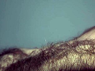 Louivmane hairy gay bear body tour compilation features solo masturbation and ass worshiping.