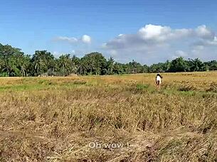 Cute 18yo rice picker girl fucks boss 😊