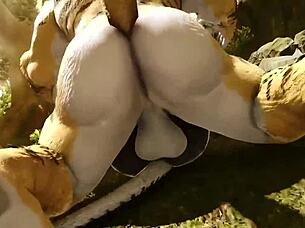 Compilation Of Oredsnow Artist Animations Hentai