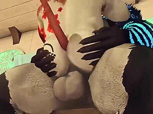 Compilation Of Oredsnow Artist Animations Hentai