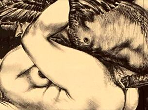 vintage erotic illustration collection