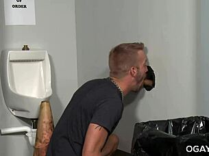 gay men suck cocks through gloryhole in toilet fuck session