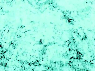 Ada Wong encounters the D-virus in this parody