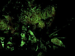 vintage erotic drawings from anime cartoon retro antique comic hentai