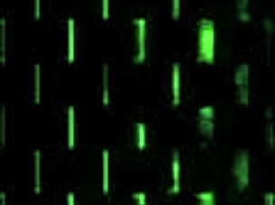 I Play School Police Game