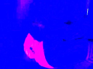 Happy Halloween Celebrations with Couples