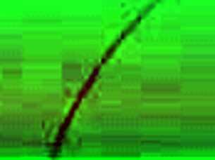 Yari agari is an intense hentai scene with lots of action