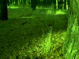 The Sweetest Step Daughter Sex ~ Juniper Ren ~ Household Fantasy ~ Scott Stark