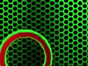 housewife in sexy stockings during household chores