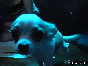 step sis catalina solves napping problem