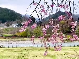 Japanese Woman's Solo Adventure in Minakami Hot Springs