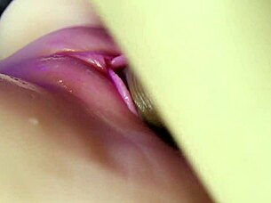 creampie in pink wet pussy close-up