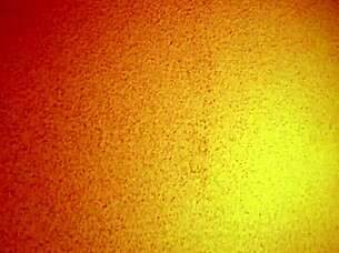 Mature Asian hooker provides cheap services