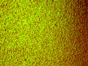 Mature Asian hooker provides cheap services