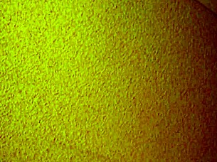 Mature Asian hooker provides cheap services