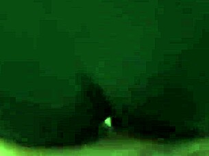 Watch The Wife Moan Loudly On Her Lover's Cock In This Compilation?