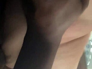 bbc pawg in car for thanksgiving