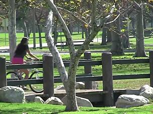 Bambi Wolfe enjoys daytime activities.