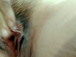 The Attractive Neighbor Living Next Door to Us