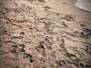 Stranger gives blowjob on public beach