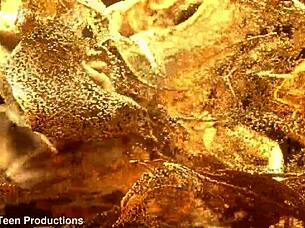 I, newbie Lynn Drew, had my first anal casting by Lancelot with errors