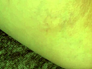 Discover The Best Interracial Creampie Compilation With Close-Up Cumshots In Young White Sluts' Pussies