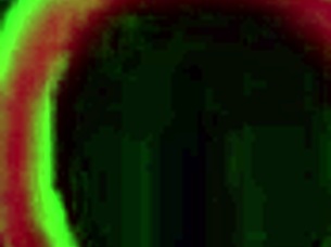 Using the delicious butthole of a Finnish anal goddess!