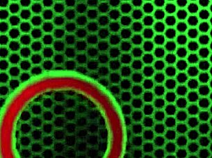 Is British Sophie Dee's Pussy Licking Intense?