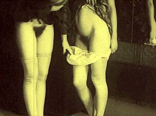Vintage lesbians diving into hairy pussies