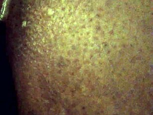 ebony beauty shows off her ass in vid