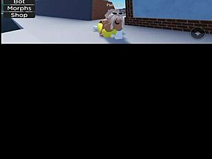 Video De Verificacion