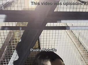 Hotwife Paolla Screams In Interracial Doggystyle On Highway, Bent Over For Exotic Cuckold Sex.