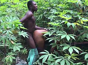 farmers rough fucking milf in nigeria