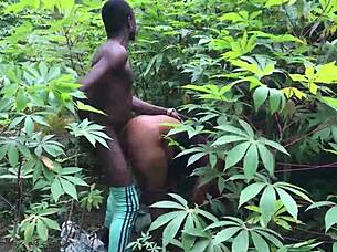 farmers rough fucking milf in nigeria