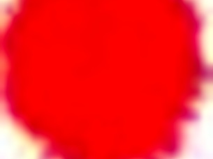 Hungarian Girlfriend Caught Having Sex For Cash With Monster Cock Buddy