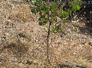 french nudist milf is shocked she caught a real voyeur following her