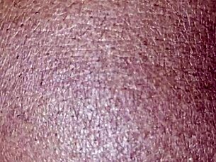 Group of young adults in amateur activities