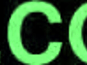 vintage pussy and pooch in outdoor hairy retro scene