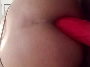 Sexygirlstephaniejames Concentrates on Crossdressing and Transsexual Fun?