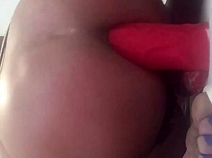 Sexygirlstephaniejames Concentrates on Crossdressing and Transsexual Fun?