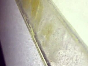 Gloryhole encounter with thickdickbandit for deepthroat swallow and cumshot.