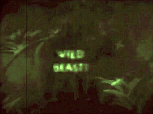 vintage pussy and pooch in outdoor hairy retro scene