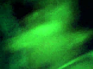 Sucking my king's huge cock