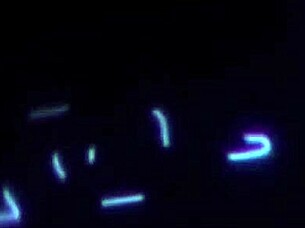 Does She Know How To Massage With Her Tight Body?